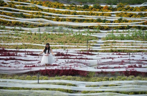 chinese woman wedding dress 3