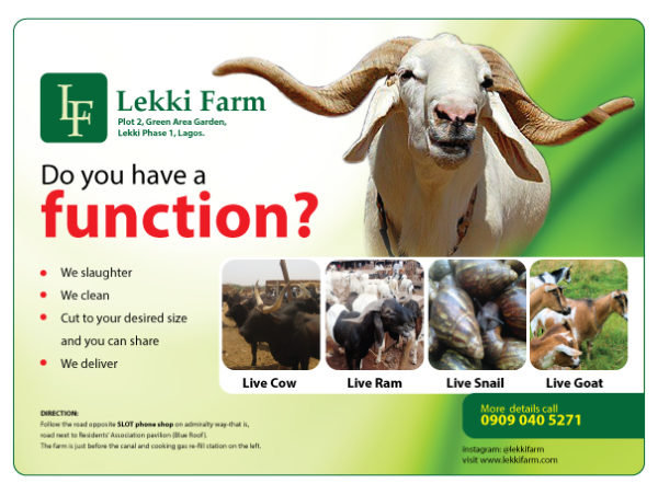 Lekki-Farm-flier