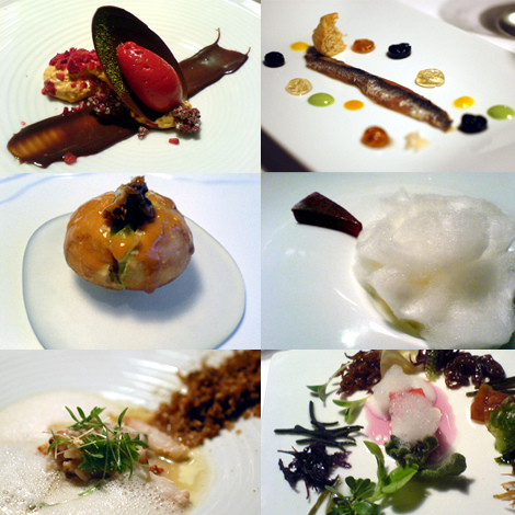 El Bulli's Cross Section