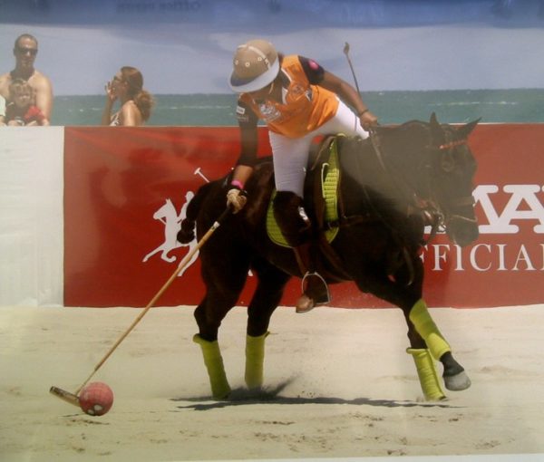 Uneku_ Miami Polo