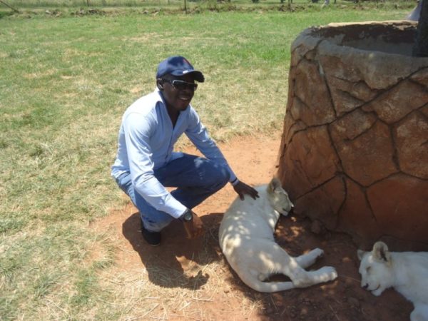 Etisalat Customersfascinated with the Albino Lion at the Rhino and Lion Nature Reserve