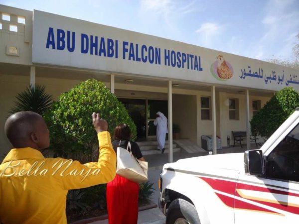 Arrival at the Abu Dhabi Falcon Hospital