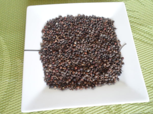 Oziza Seeds