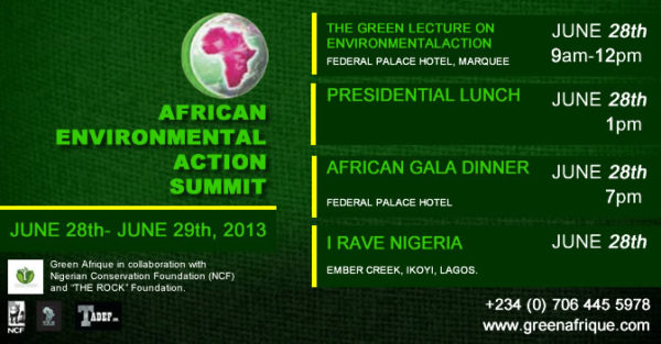 African Environmental Action Summit - BellaNaija - June2013