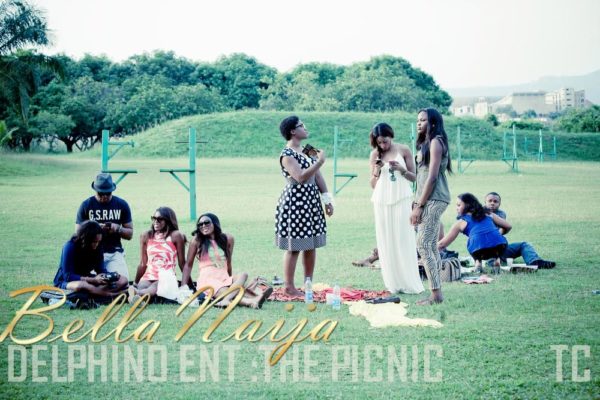 Delphino Entertainment Picnic in Abuja - BellaNaija - July2013 (14)