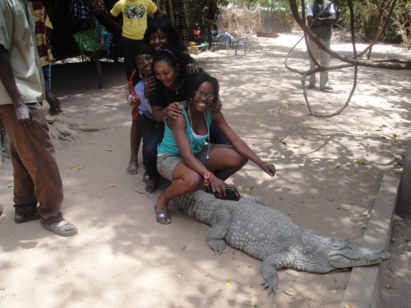 Touch a live crocodile if you dare