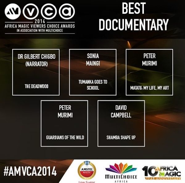 2014 AMVCA - Best Documentary - Decemeber 2013 - BellaNaija