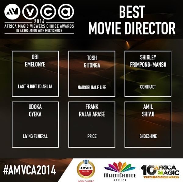 2014 AMVCA - Best Movie Director - Decemeber 2013 - BellaNaija