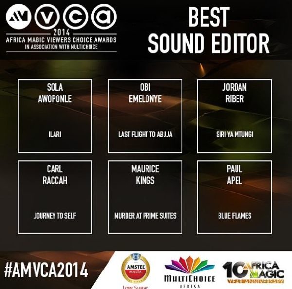 2014 AMVCA - Best Sound Editor - Decemeber 2013 - BellaNaija