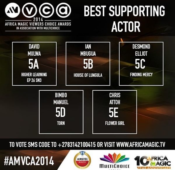 2014 AMVCA - Best Supporting Actor - Decemeber 2013 - BellaNaija