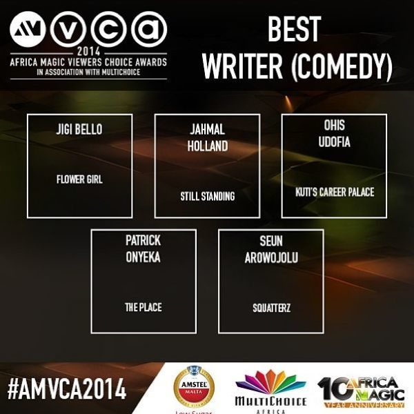 2014 AMVCA - Best Writer - Comedy- Decemeber 2013 - BellaNaija