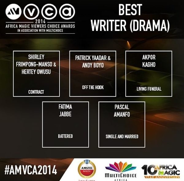 2014 AMVCA - Best Writer - Drama - December 2013 - BellaNaija