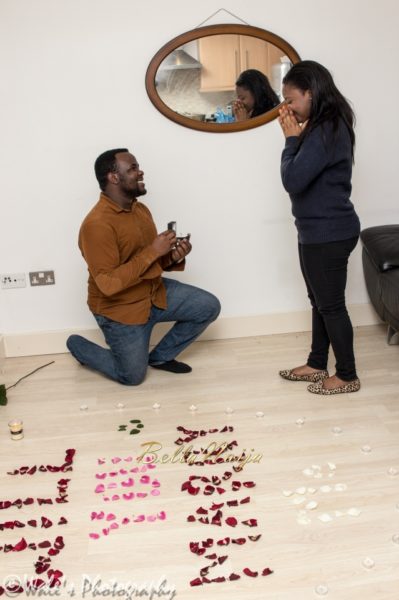 proposal flower petals