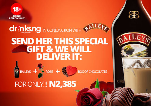 Baileys Spirit With Love Valentine Campaign - BellaNaija - February 2014 (2)