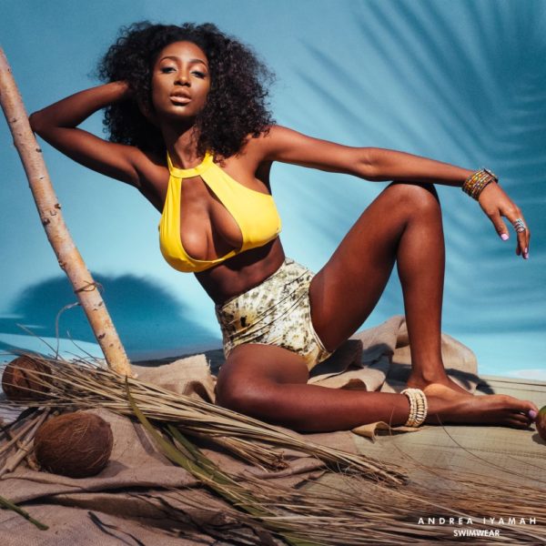 Andrea Iyamah Swimwear 2014 - BellaNaija - March2014015