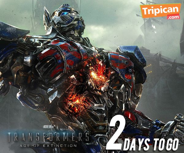 Tripican presents Transformers 4 - Bellanaija - June 20140011