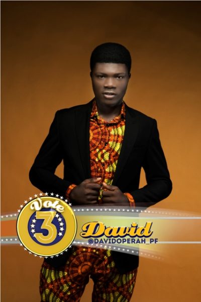 MTN Project Fame West Africa - BN July 2014 - BN Movies & TV - BellaNaija.com 03