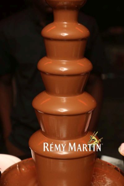 Matthew Ohio's Remy Martin Birthday Party - BellaNaija - July - 2014 - image014