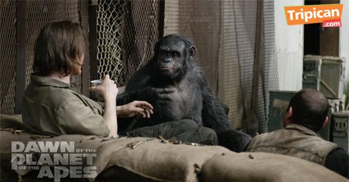 Tripican presents Dawn of the Planet of the Apes - Bellanaija - July2014002