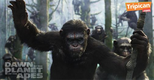 Tripican presents Dawn of the Planet of the Apes - Bellanaija - July2014003