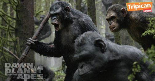 Tripican presents Dawn of the Planet of the Apes - Bellanaija - July2014004