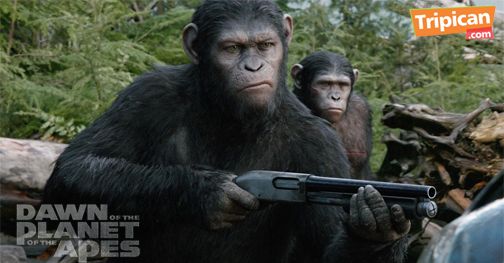 Tripican presents Dawn of the Planet of the Apes - Bellanaija - July2014005