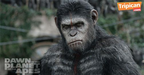 Tripican presents Dawn of the Planet of the Apes - Bellanaija - July2014006