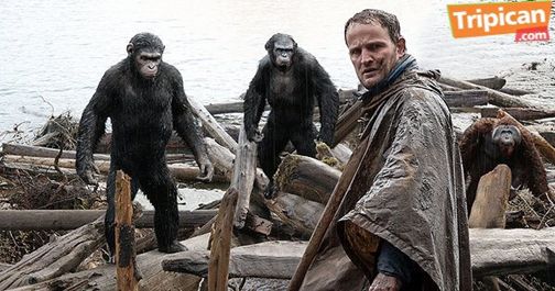 Tripican presents Dawn of the Planet of the Apes - Bellanaija - July2014007