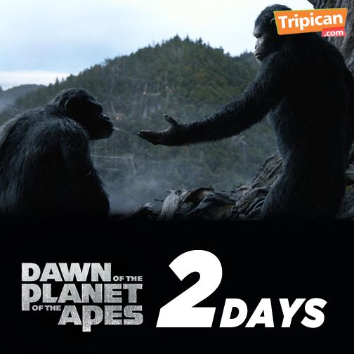 Tripican presents Dawn of the Planet of the Apes - Bellanaija - July2014008