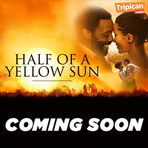 Tripican presents Half of a Yellow Sun - bellanaija - July20140017