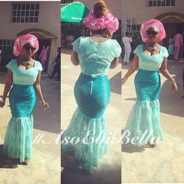 @yorkieterrier.aso ebi, asoebibella