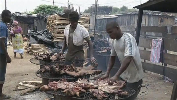 ebola-bushmeat