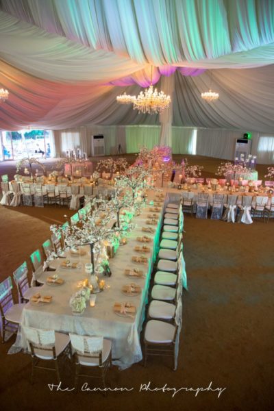 Bluevelvet Marquee and Decor - Bellanaija - Octoberr2014034