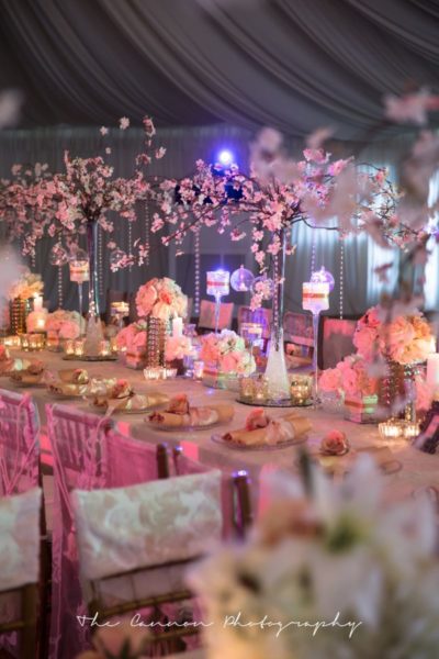 Bluevelvet Marquee and Decor - Bellanaija - Octoberr2014043
