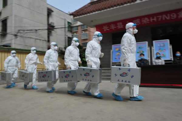 28 H7N9 Bird Flu Cases Confirmed In China