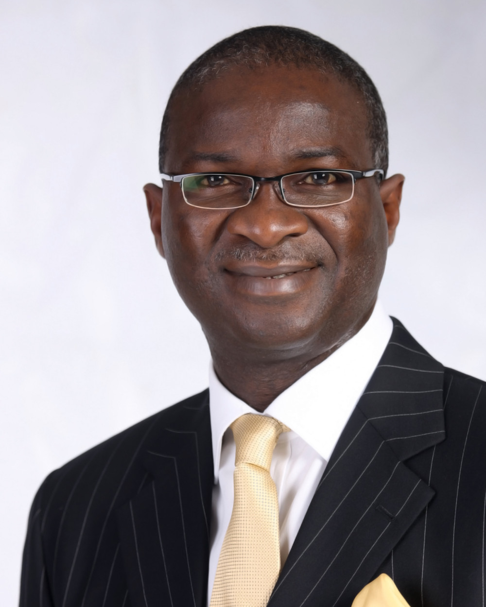 Image result for picture of governor fashola