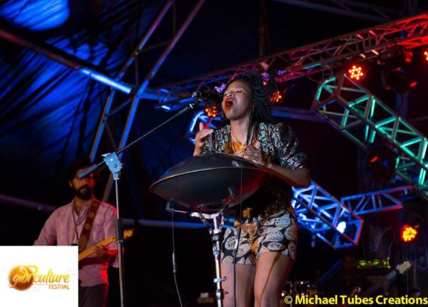 Venue Bushfires