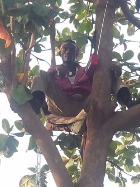 Man Climbs Tree for Buhari