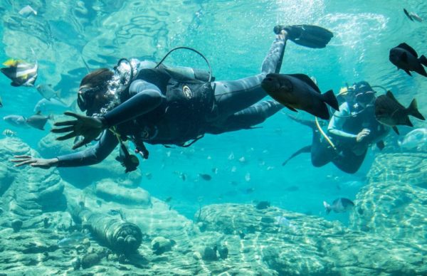 Vimbai & Gaetano Shark Dive