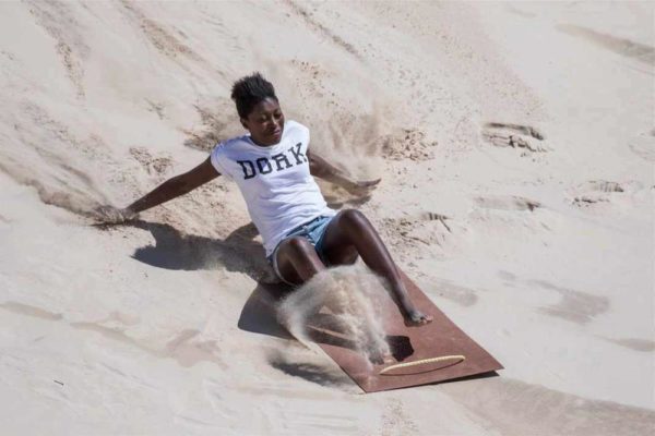 Sandboard1