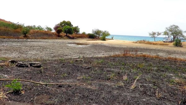 A photo showing the effects of deforestation and burning.