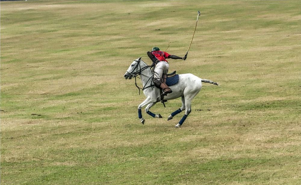 2016 Port Harcourt Polo Tournament Sponsored byStudio 24 - BellaNaija - Januray2016020