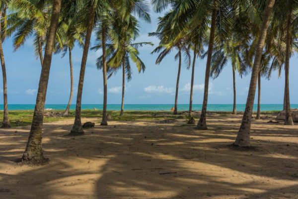 Private Beach at Whispering Palms