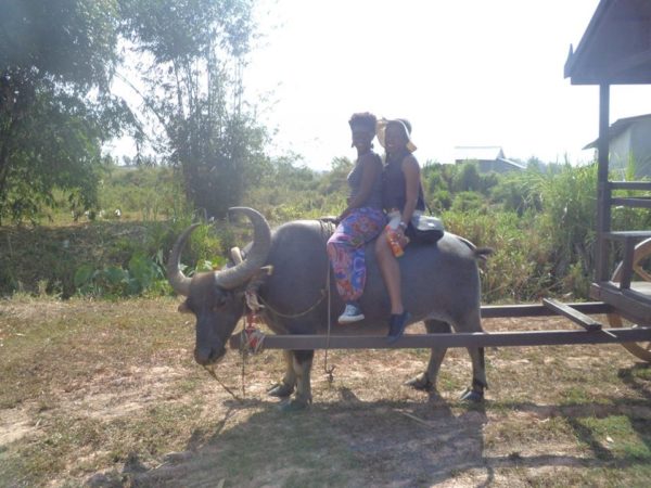 Buffalo ride