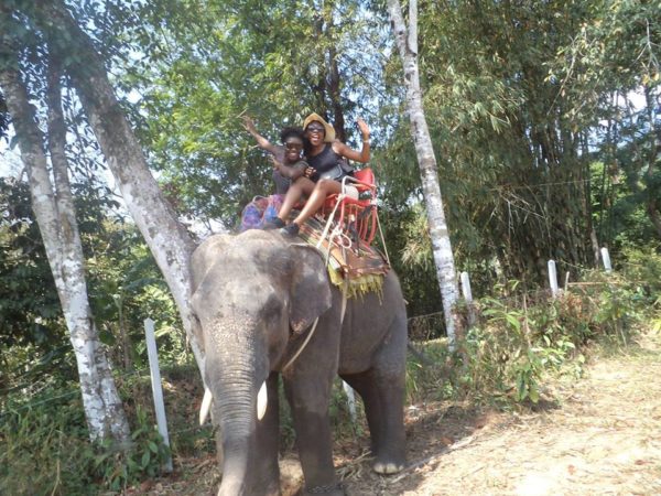 Elephant ride