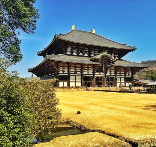 Todaji Temple - houses one of the biggest buddha statures