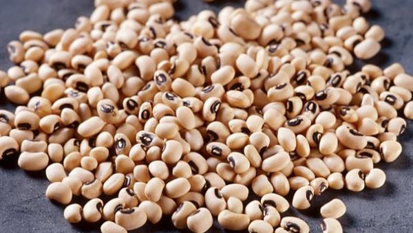 "Prohibition on Exportation of Beans Produce to EU Countries has conveyed a Huge Loss to Nigeria" – Acting Director General of NAFDAC