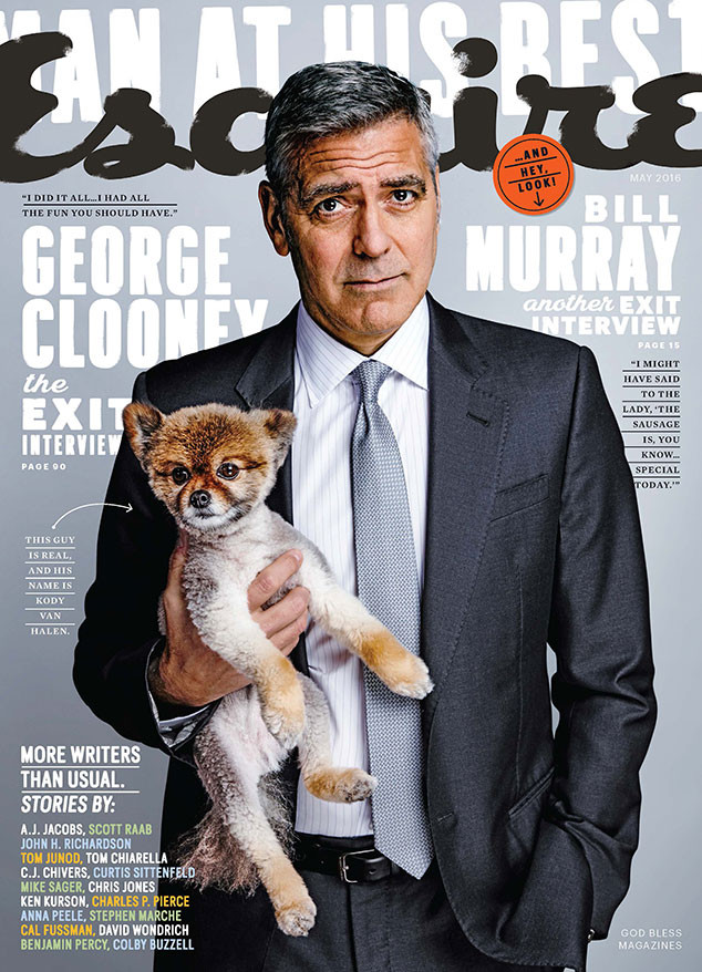 Geroge Clooney Gay 51