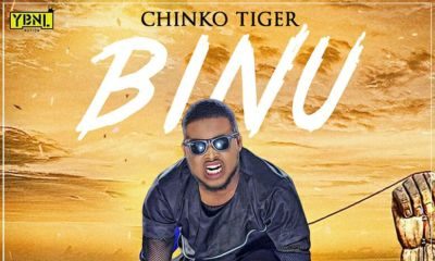 Chinko Ekun Binu