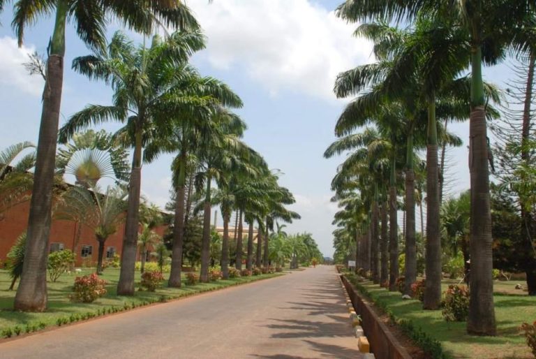 Minister Commends Nobel Carpets and Rugs For Advocating Made in Nigeria